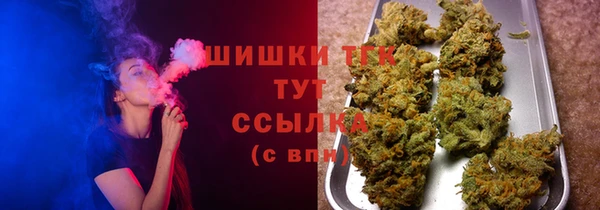 СК Осинники