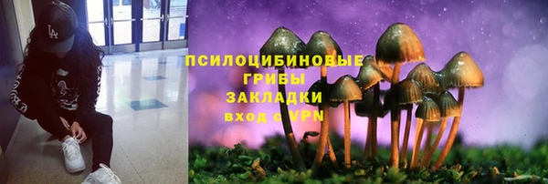 СК Осинники