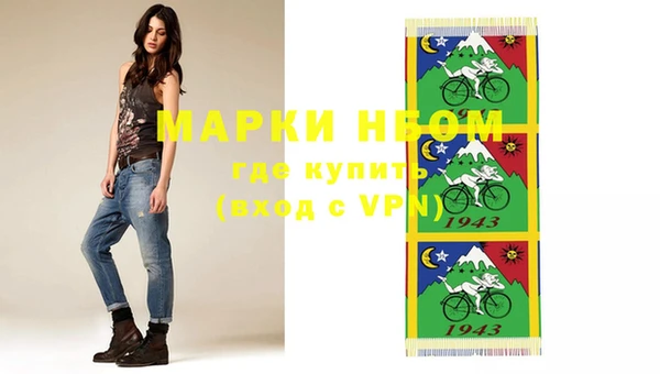 СК Осинники