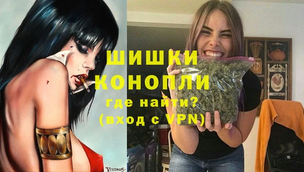 СК Осинники