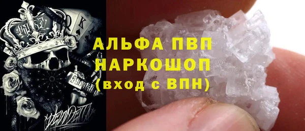 СК Осинники